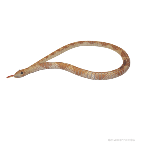Medinė gyvatė, 70 cm 